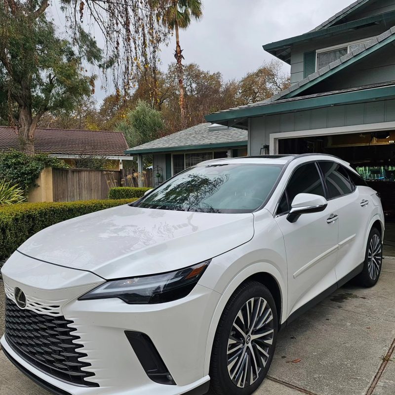 Windshield Protection