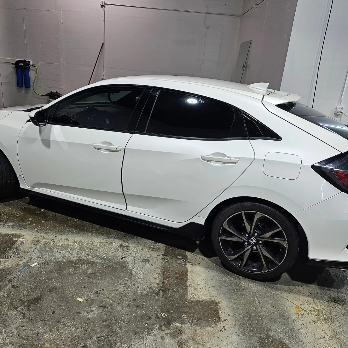 Window Tint Expert